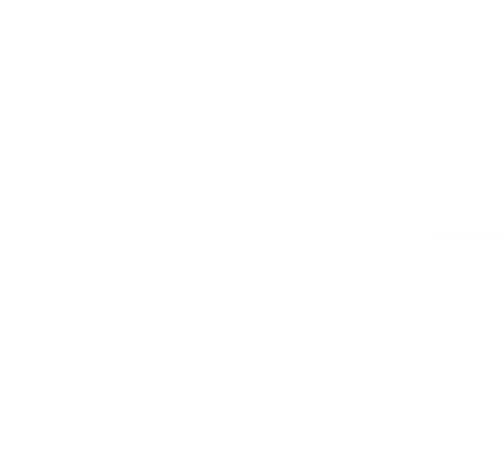 O43D